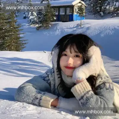 包镇